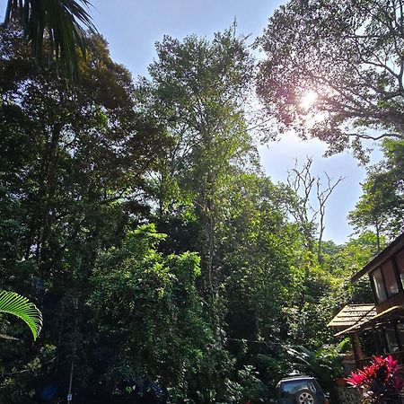 Cool Waters Jungle Villas Увита Екстериор снимка