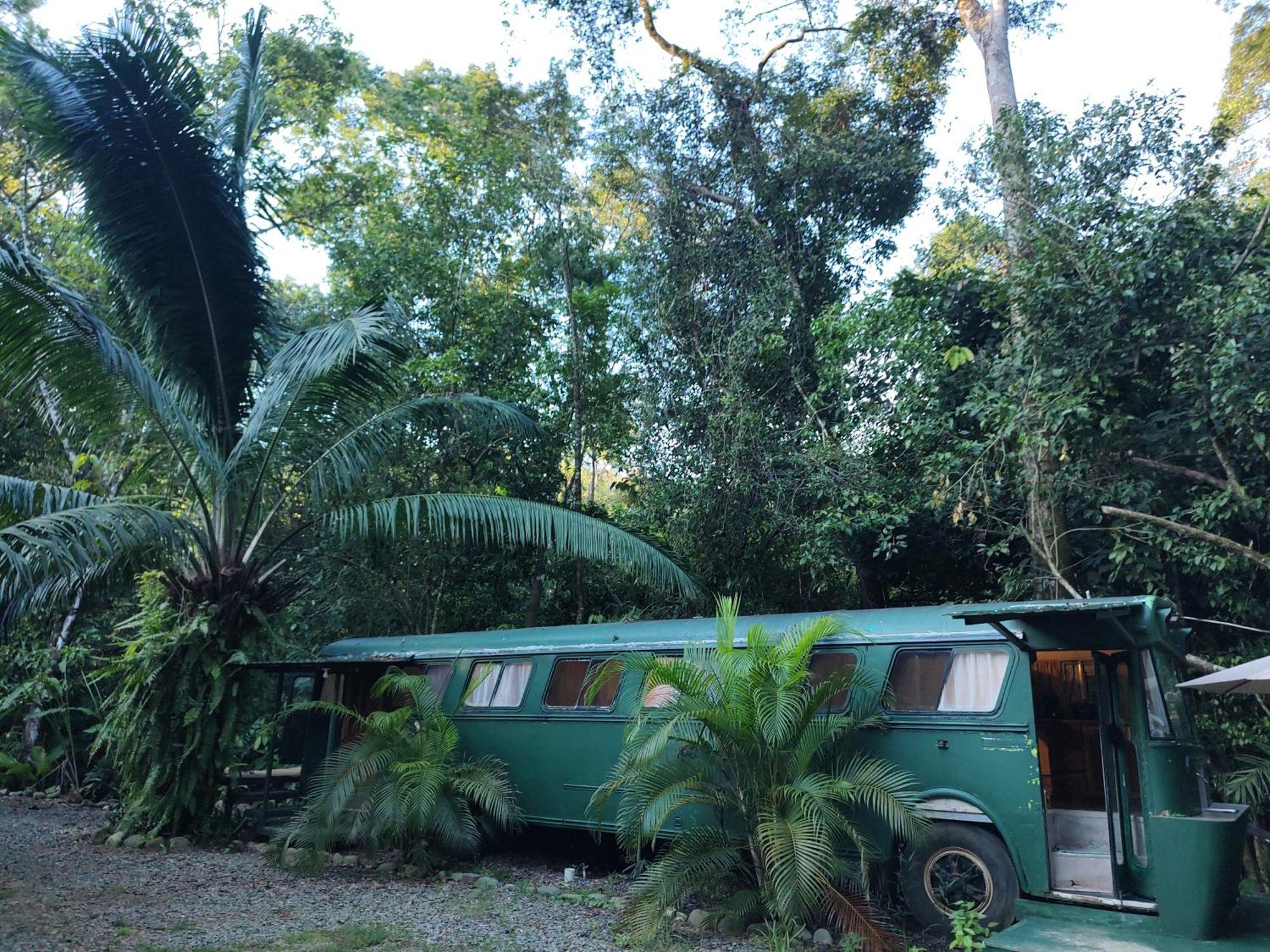 Cool Waters Jungle Villas Увита Екстериор снимка