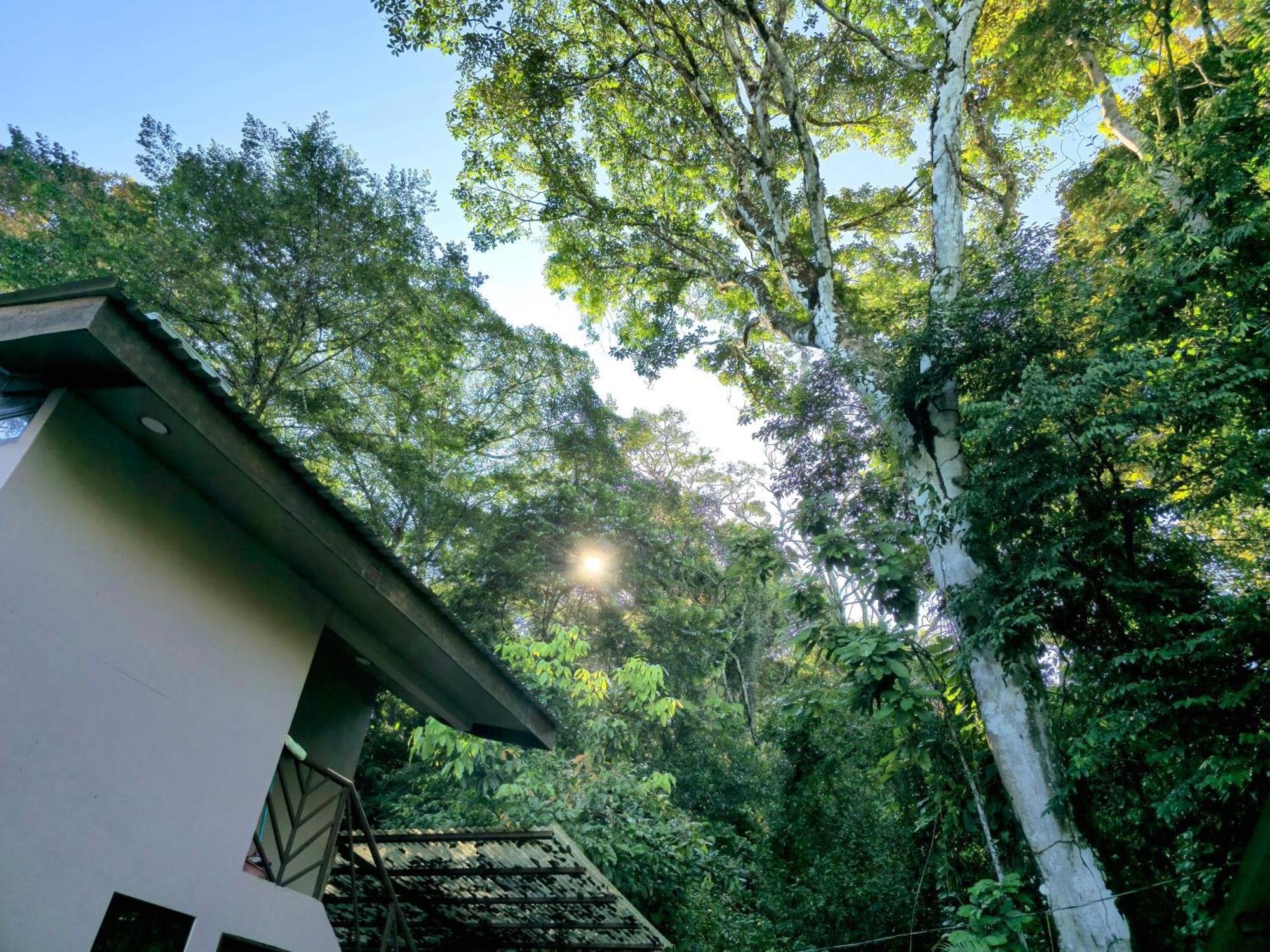 Cool Waters Jungle Villas Увита Екстериор снимка