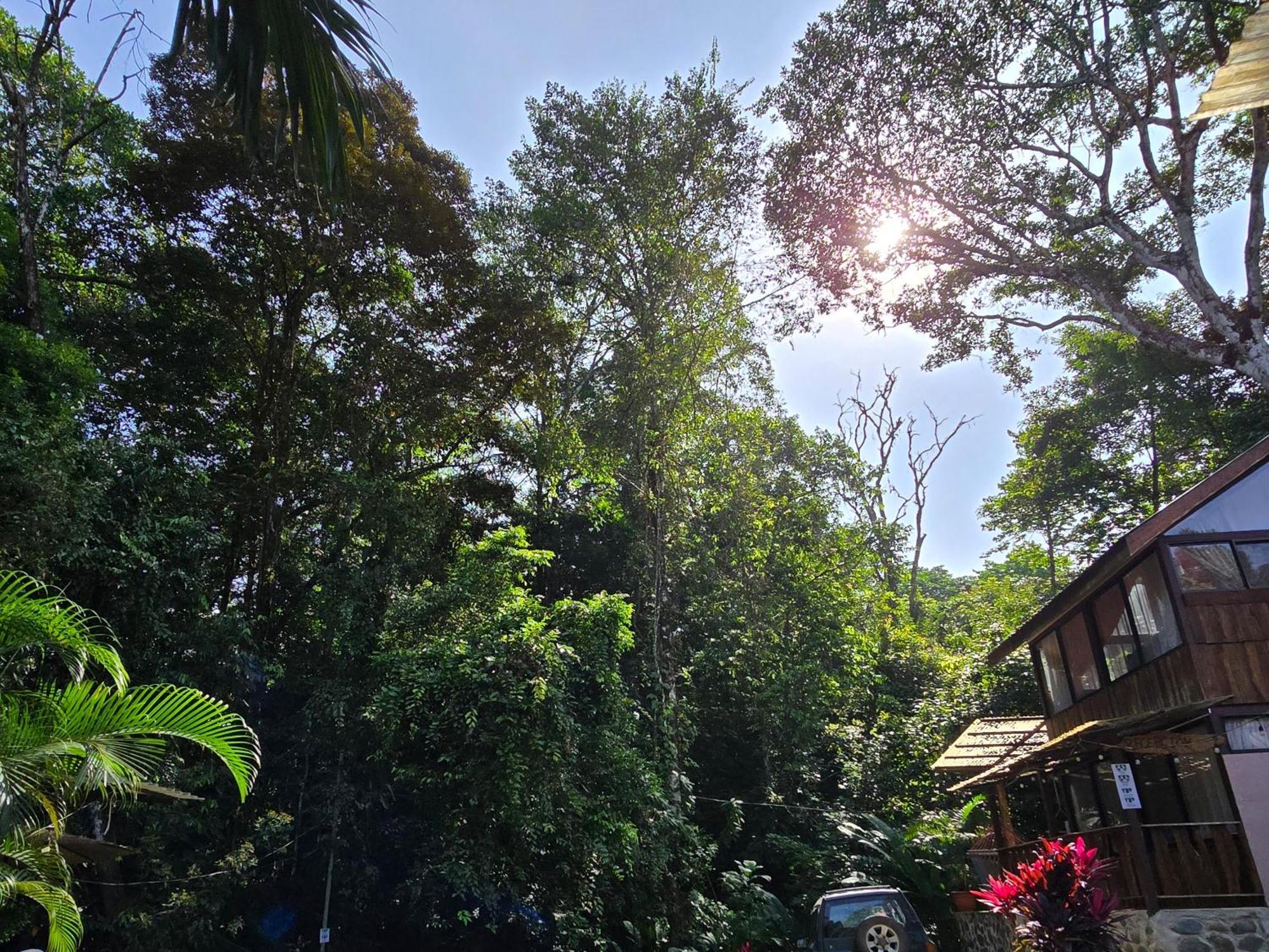 Cool Waters Jungle Villas Увита Екстериор снимка