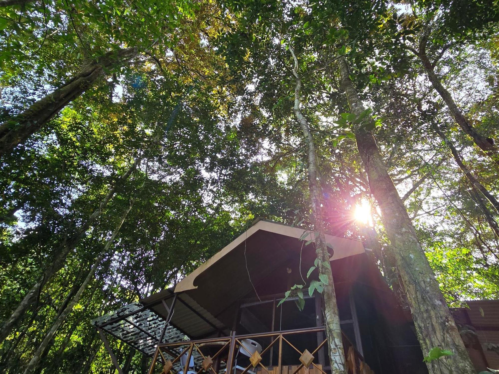 Cool Waters Jungle Villas Увита Екстериор снимка